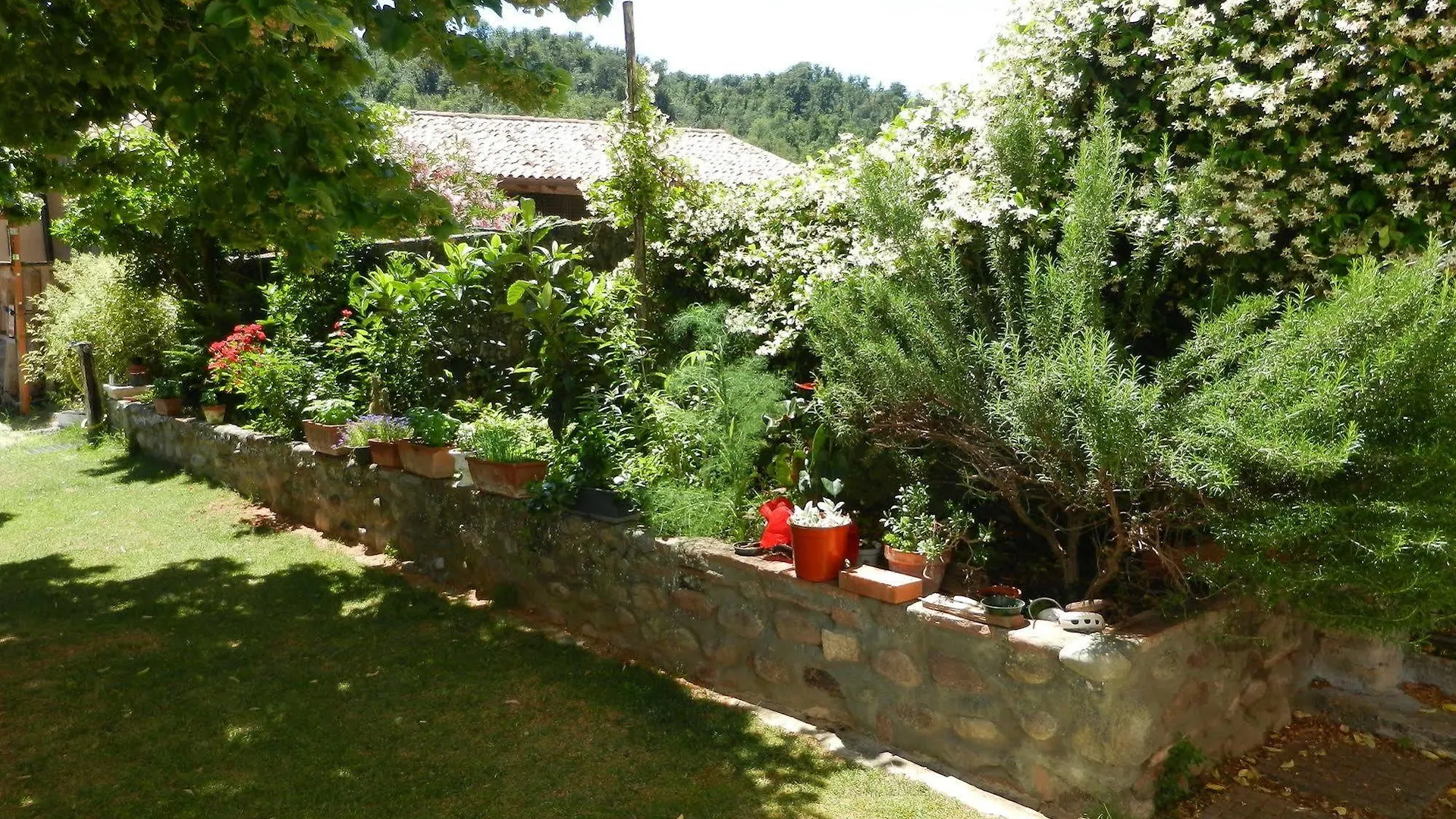 Bed & Breakfast Pegaso Valeggio sul Mincio 2*,